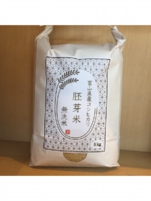 胚芽米 無洗米 となみ野米 コシヒカリ